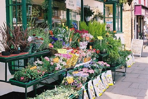 Florist shop in Stevenage old town.