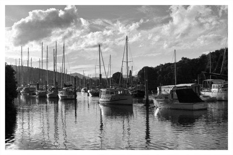 Black and white boats