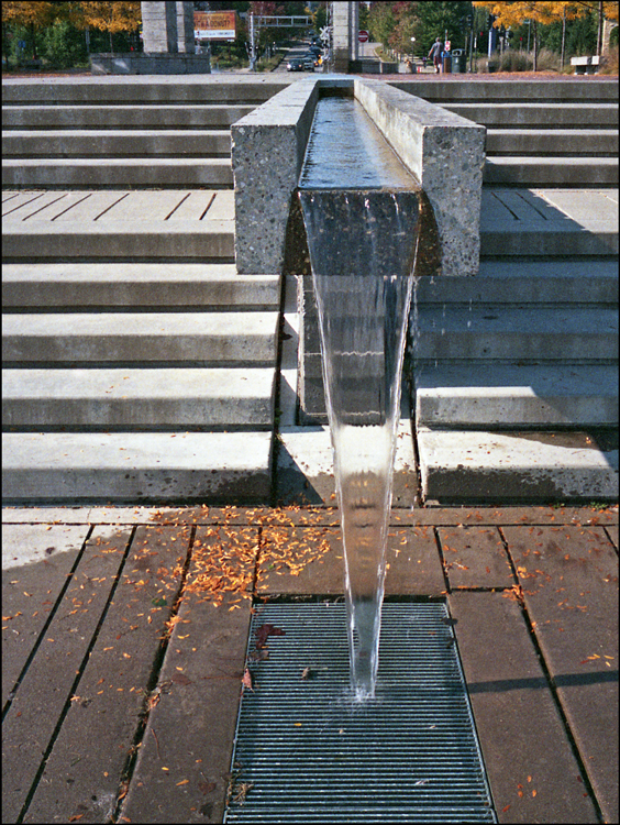 WaterTrough@6x8.WEB.jpg