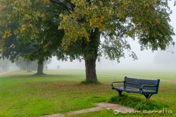 A foggy morning