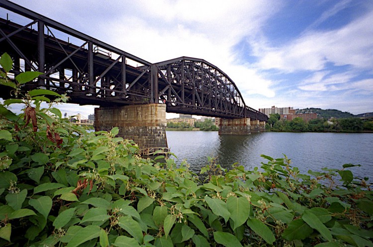 Railroad bridge.jpg