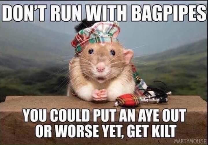 bagpipes.jpg