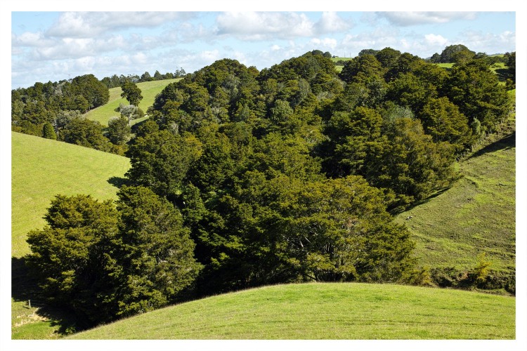 DP2M1476.jpg (514.71 KiB) Viewed 28696 times Landscape landscape