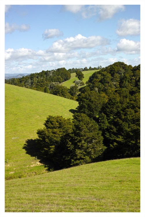 DP2M1477.jpg (410.52 KiB) Viewed 28696 times Landscape portrait