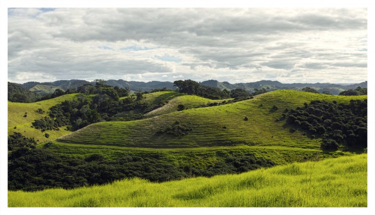 Northland Hills.jpg (306.64 KiB) Viewed 40279 times Northland hills
