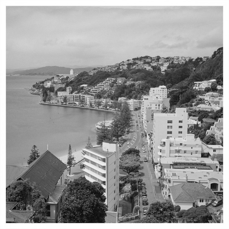 Looking over Oriental Bay