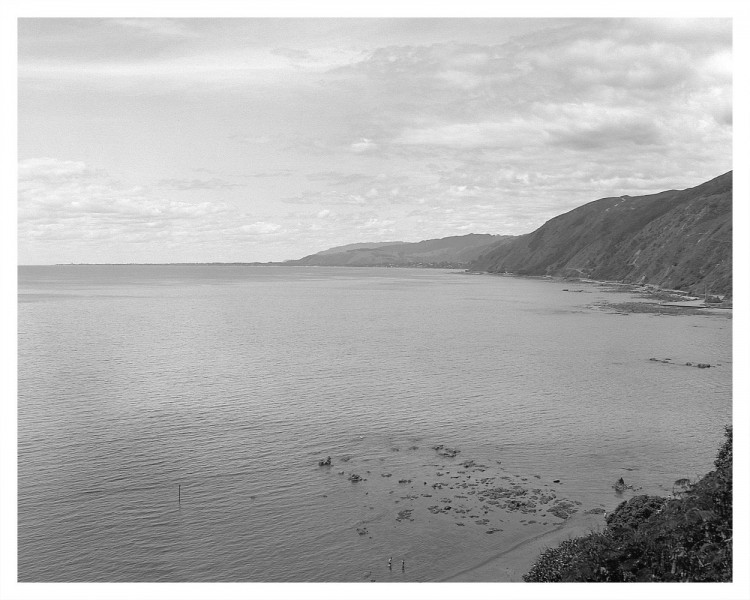 Pukerua Bay, looking north (Fomapan 100)