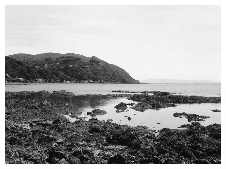 Pukerua Bay &amp; South Island in the distance (Efke 25)