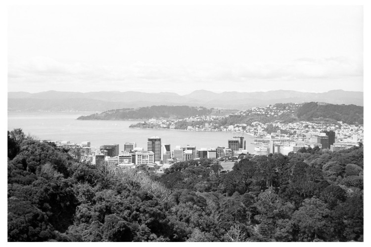 View over Wellington