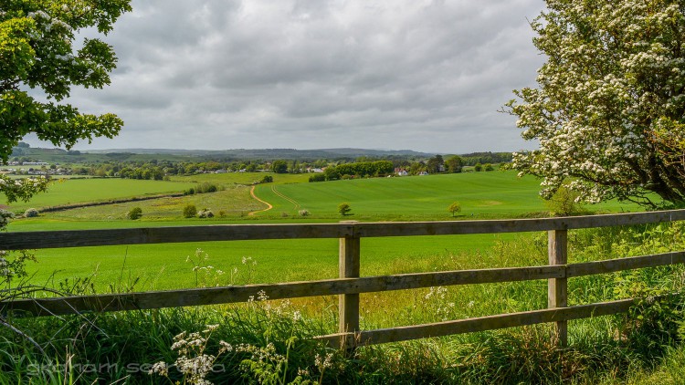 Near Newcastle-apon-Tyne.jpg