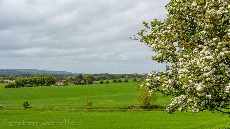 Northumbrian landscape.jpg