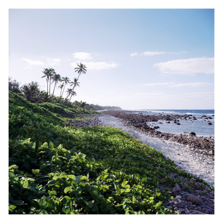 Beach on the reef