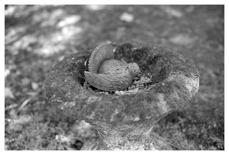 Stoned Bird Bath (Fantail)