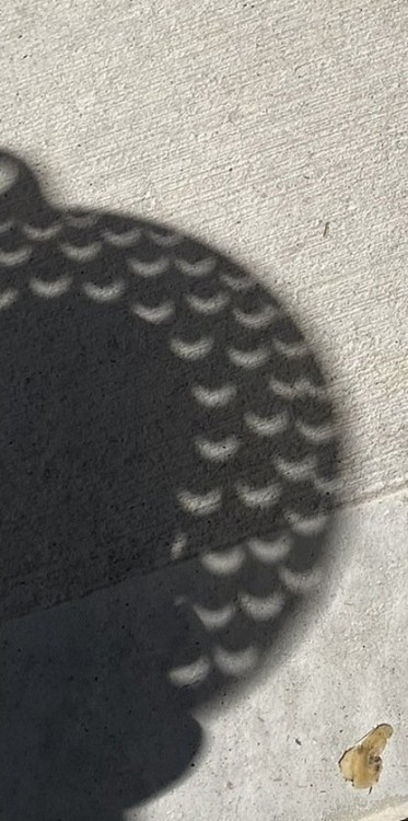 Coladera.jpg (96.22 KiB) Viewed 23794 times Thourgh the Colander