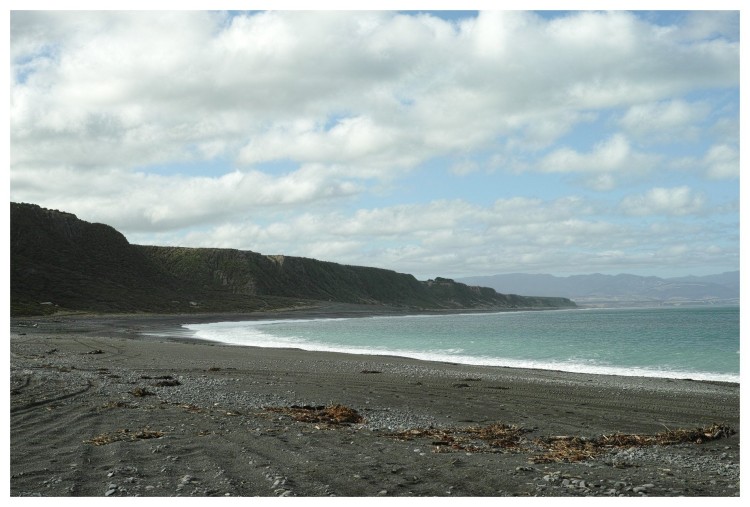 Ocean Beach (yes, that's what it's called), Wairarapa