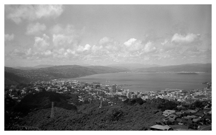 Wellington Harbour