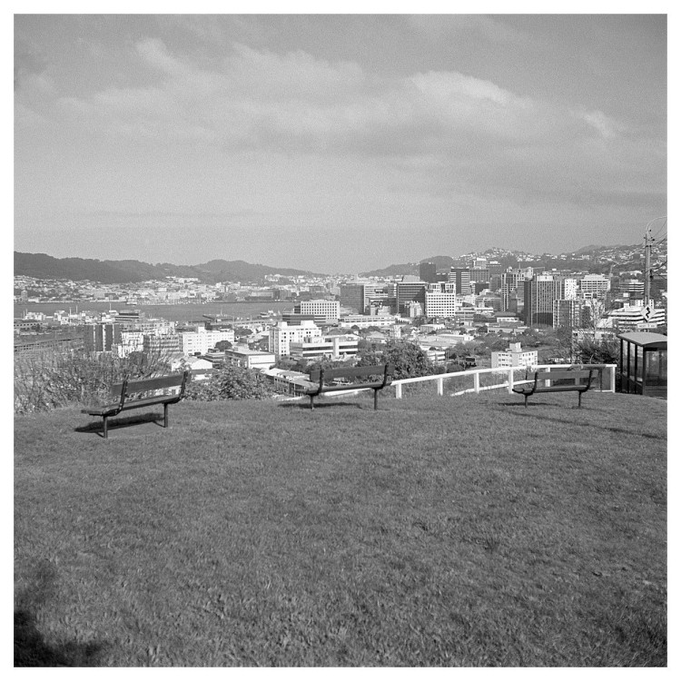 View over Wellington City