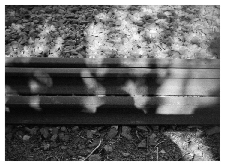 Some thick lines in this one!!