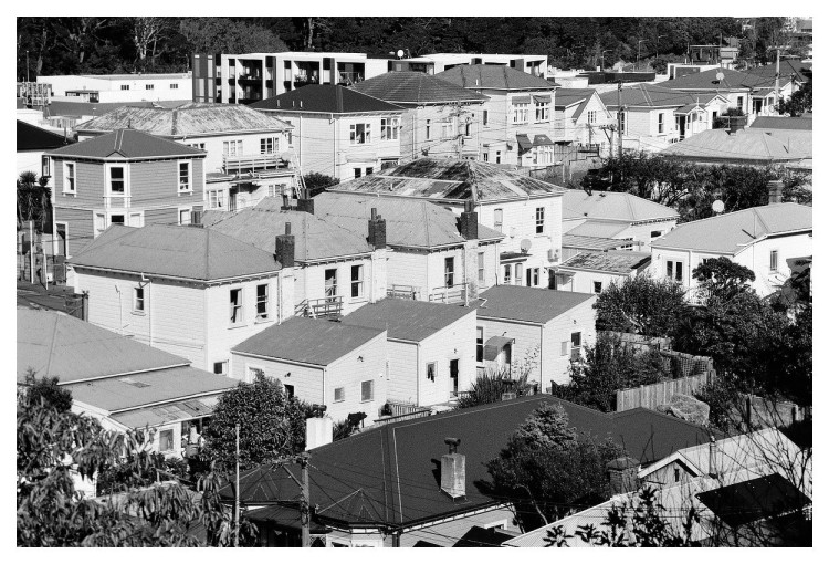 Newtown houses