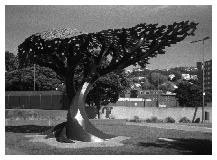 Pohutakawa Tree Sculpture (NZ Christmas Tree)