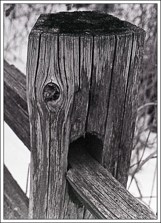 WEBFence-Post-and-Rail.jpg