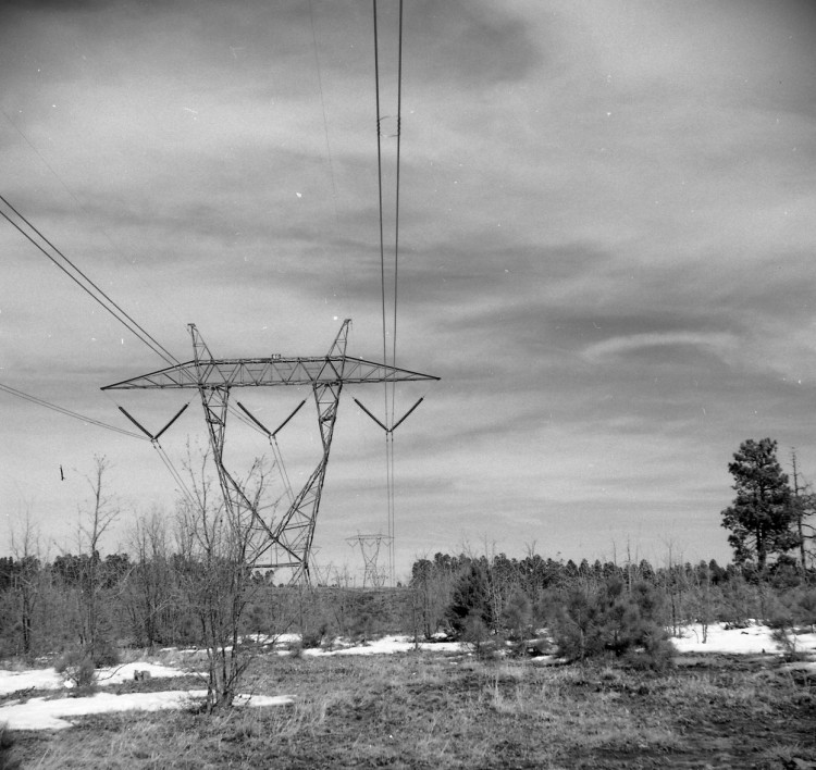 On the Mogollon Rim in mid-Arizona