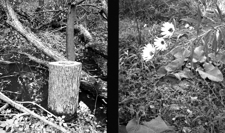 WEBDiptych-Mourning-Flowers.jpg