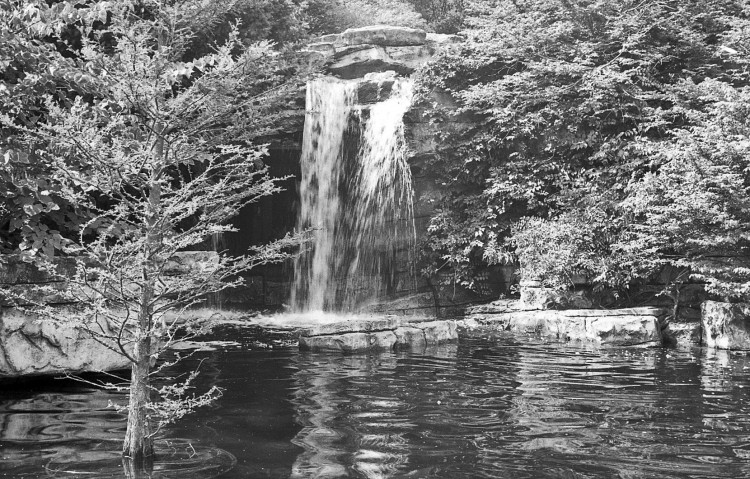 img7597.jpg