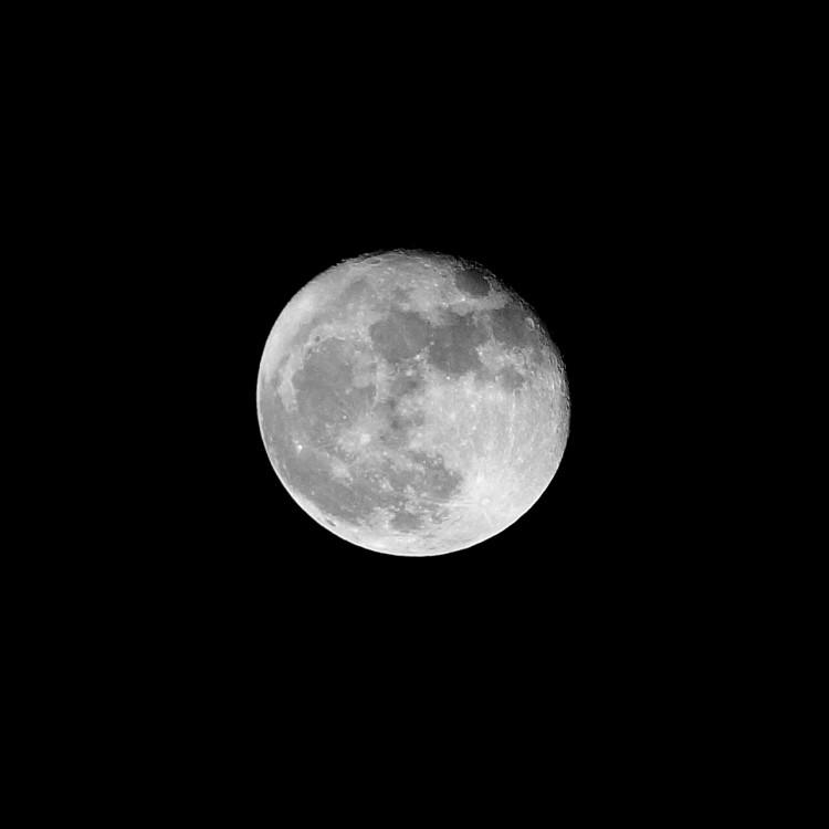 Super moon - 11.15.16.jpg