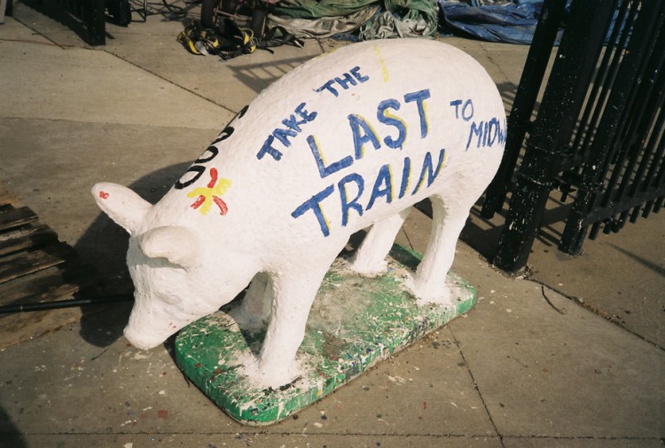 Midway Ball Pig WEB.jpg