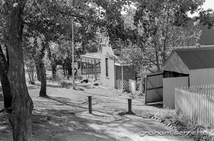 A shady lane in the residential area