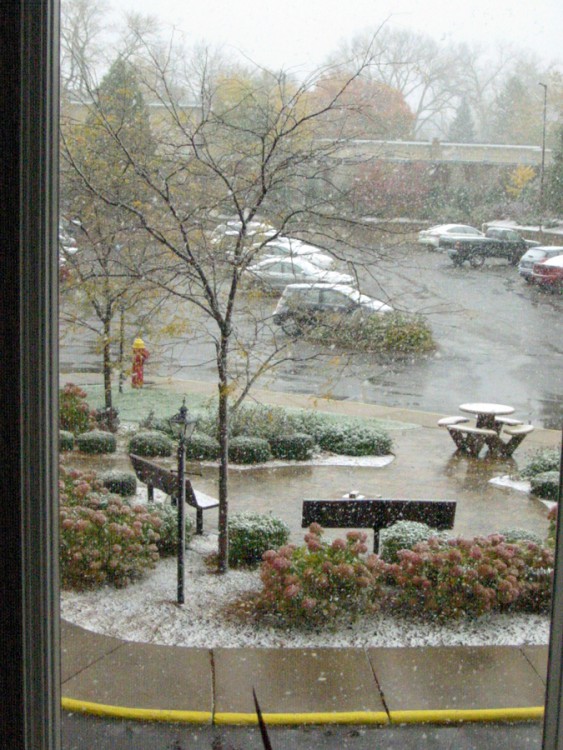 1st-Snow-171027WEB.jpg