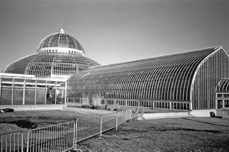 ConservatoryFenceDomeWall.crWEB.jpg